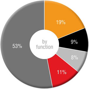 Image of pie chart about human resources distribution by function